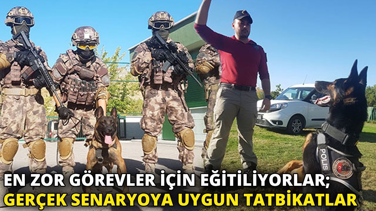 En zor görevler için eğitiliyorlar; gerçek senaryoya uygun tatbikatlar