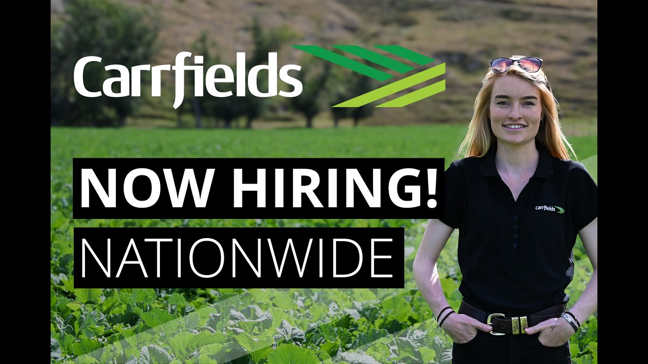 Why Work at Carrfields? Hear From Our Team