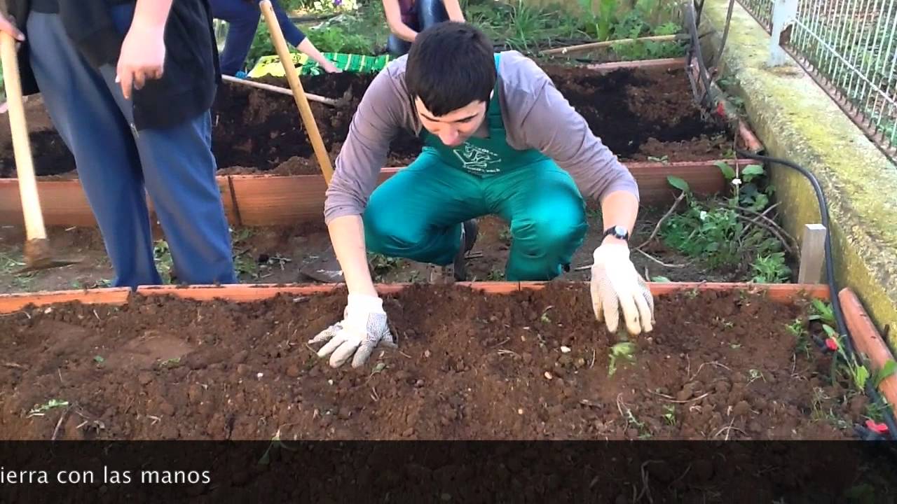 HUERTO ECOLÓGICO RAQUEL PAYÁ
