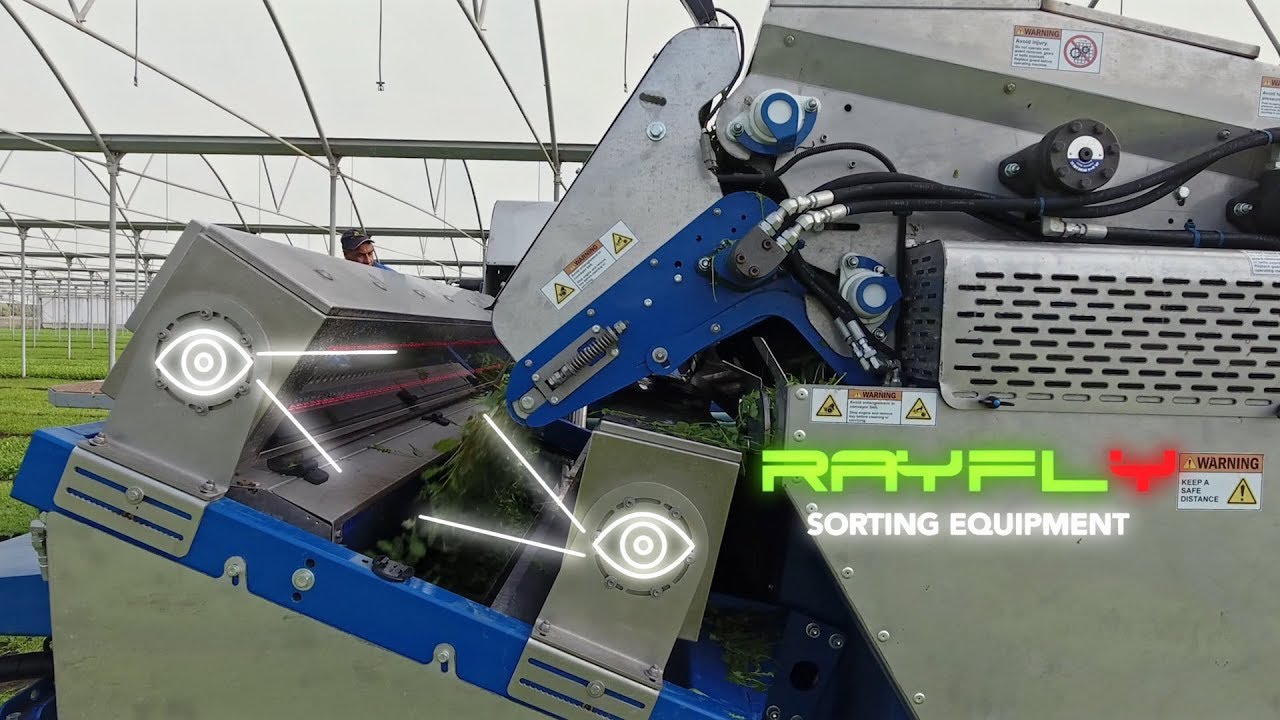 Bellavista - the world's first harvesting and sorting machine for baby leaf | Gemini Farm Machinery