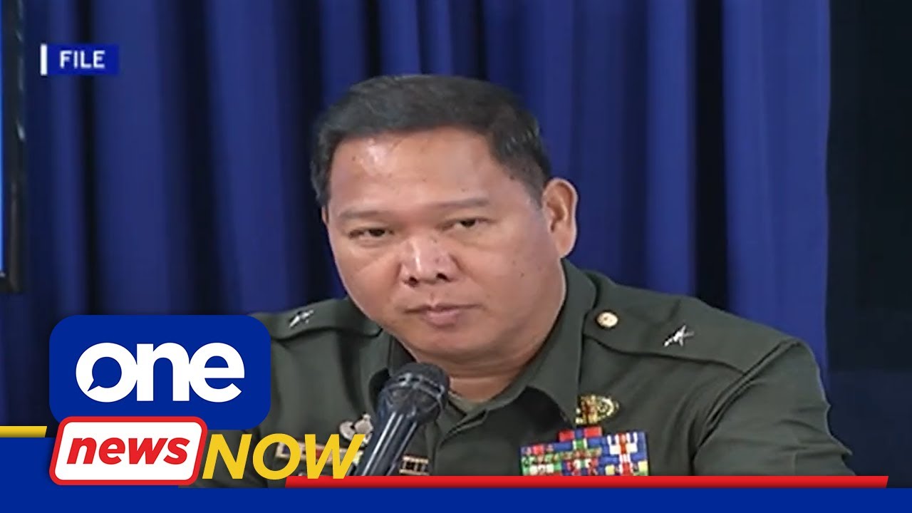 Senator files resolution to censure Parlade over 'stupid' remark