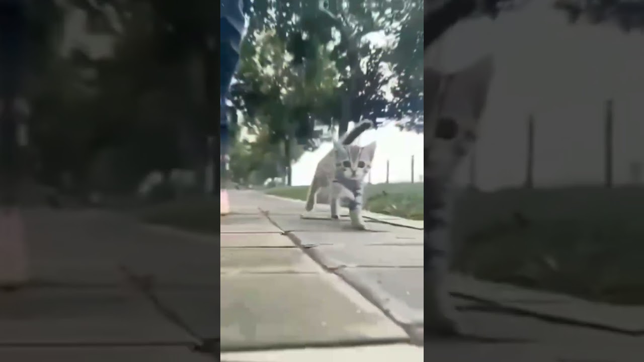 Jiya Nahi Jata 😘Sun Bbare  Ke Rata🥰 Lamya Lamya Re 