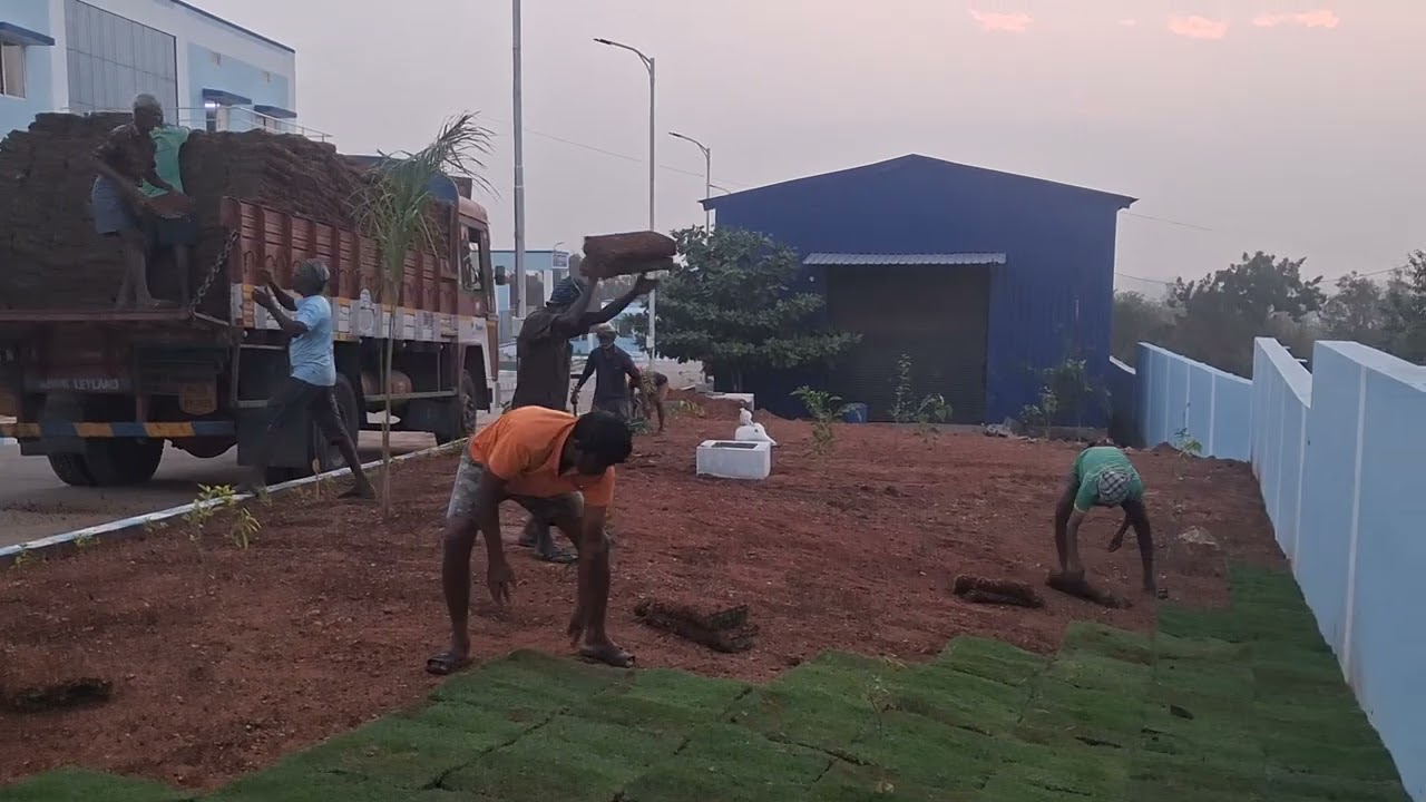 landscaping