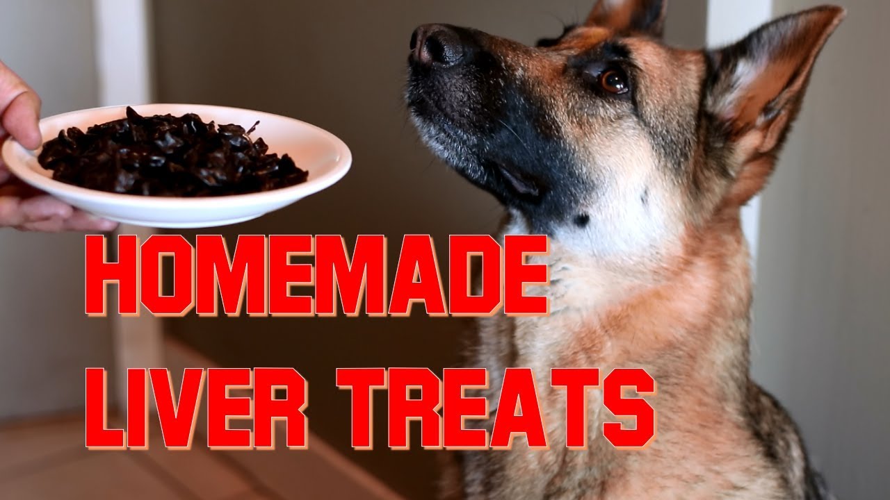How to Make Home Made Liver Treats for Your Dog