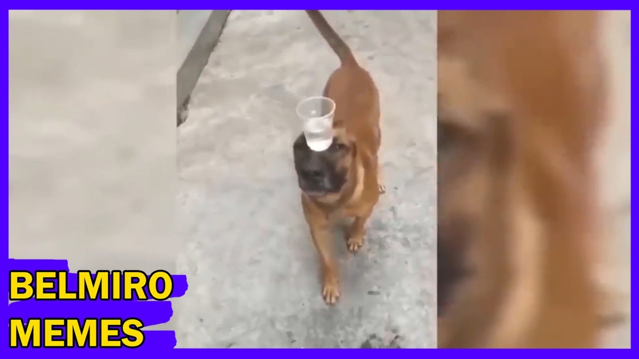 Belmiro Memes: Melhores dublagens do ano parte 6