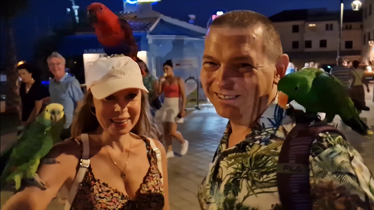 Jesteśmy zachwyceni urlopem w Vodice :) Rybki Papugi Zabawne Prezenty / Chorwacja we wrześniu