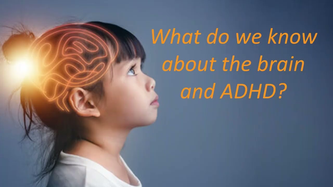 Examining Early Neural & Behavioral Predictors of Childhood ADHD
