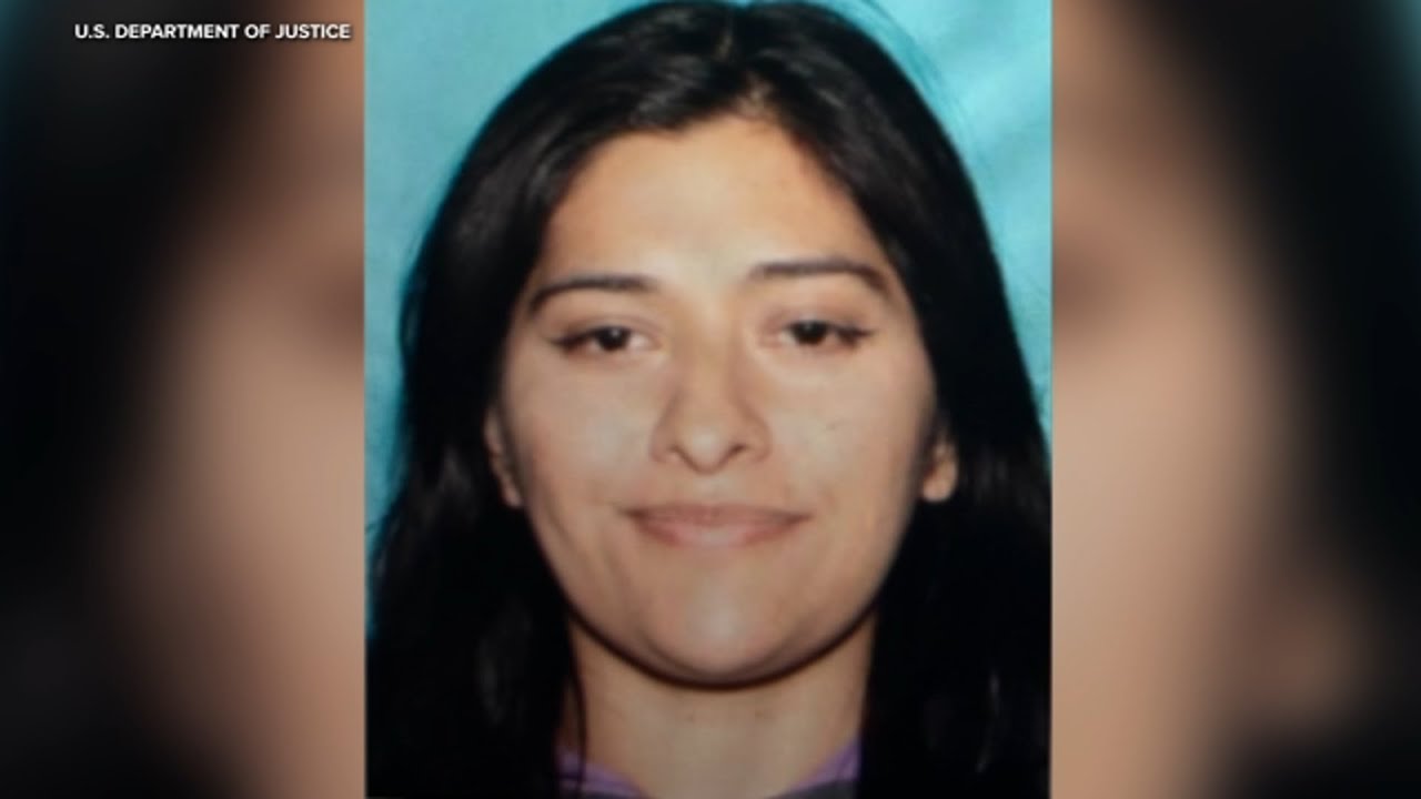 3 charged with alleged 'doxing' of ICE agent