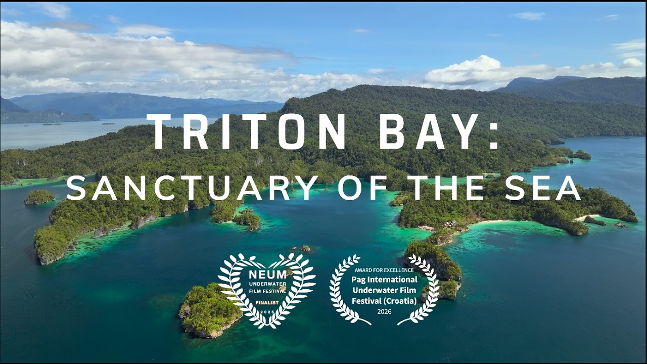 Triton Bay: Sanctuary of The Sea | West Papua | Indonesia | 2025 | HDR