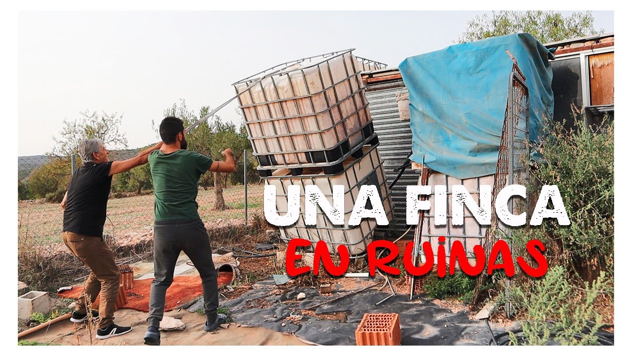 #2 LIMPIEZA de la FINCA ABANDONADA con una CABAÑA para vivir | Construyendo un hogar