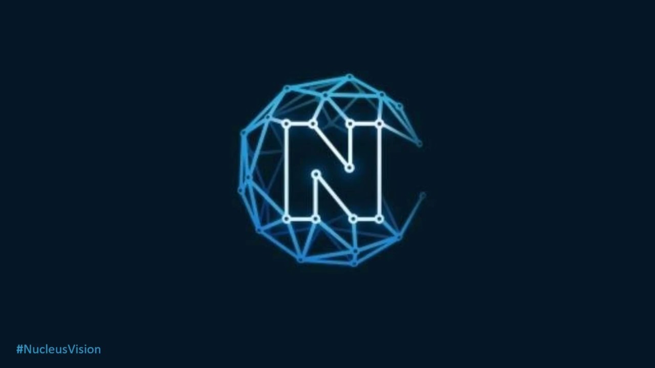 Обзор проекта Nucleus Vision