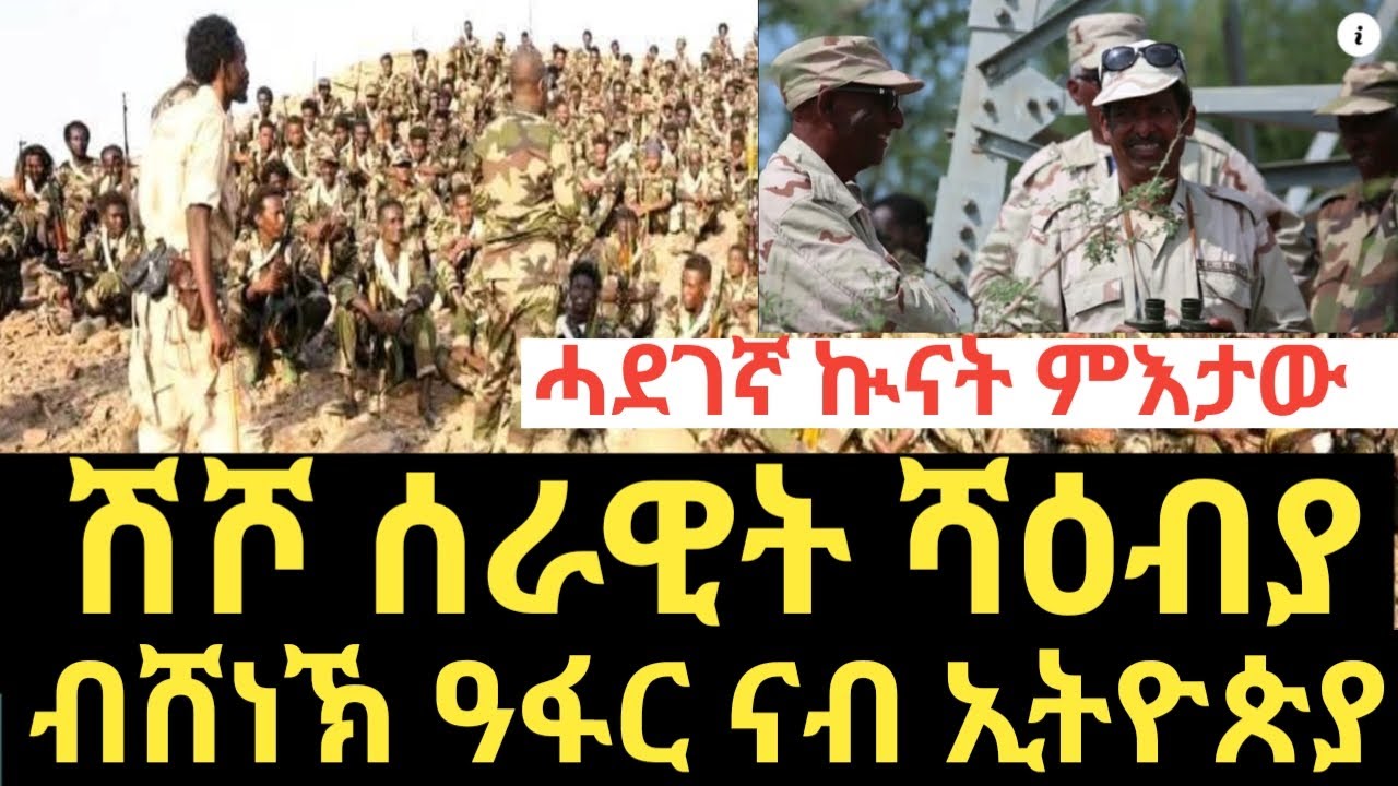 ሰበር ዜና ሻዕብያ ብዓፋር ጀሚራ፡ ሽሾ ሰራዊት ሻዕብያ ኣብ ዓፋር 