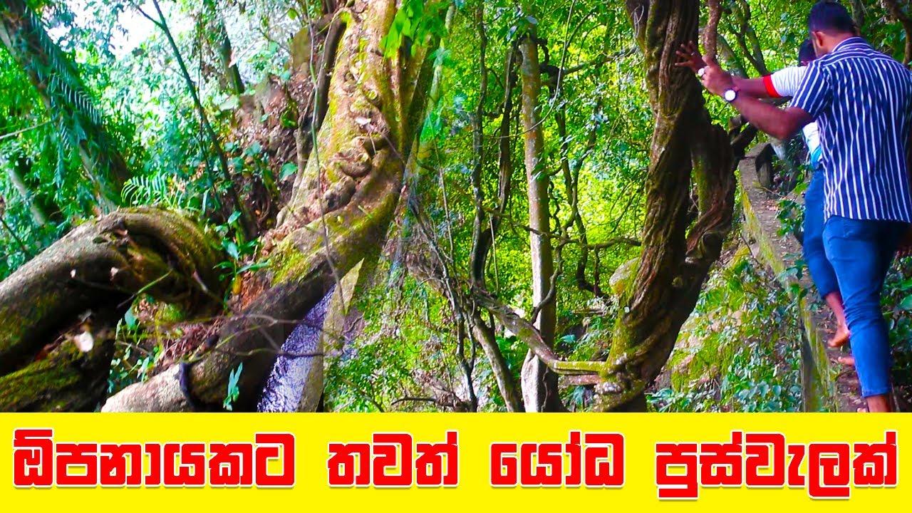 ඕපනායකට තවත් යෝධ පුස්වැලක් | Opanyaka Divisional Secretariat | Yodha Puswela Opanayaka