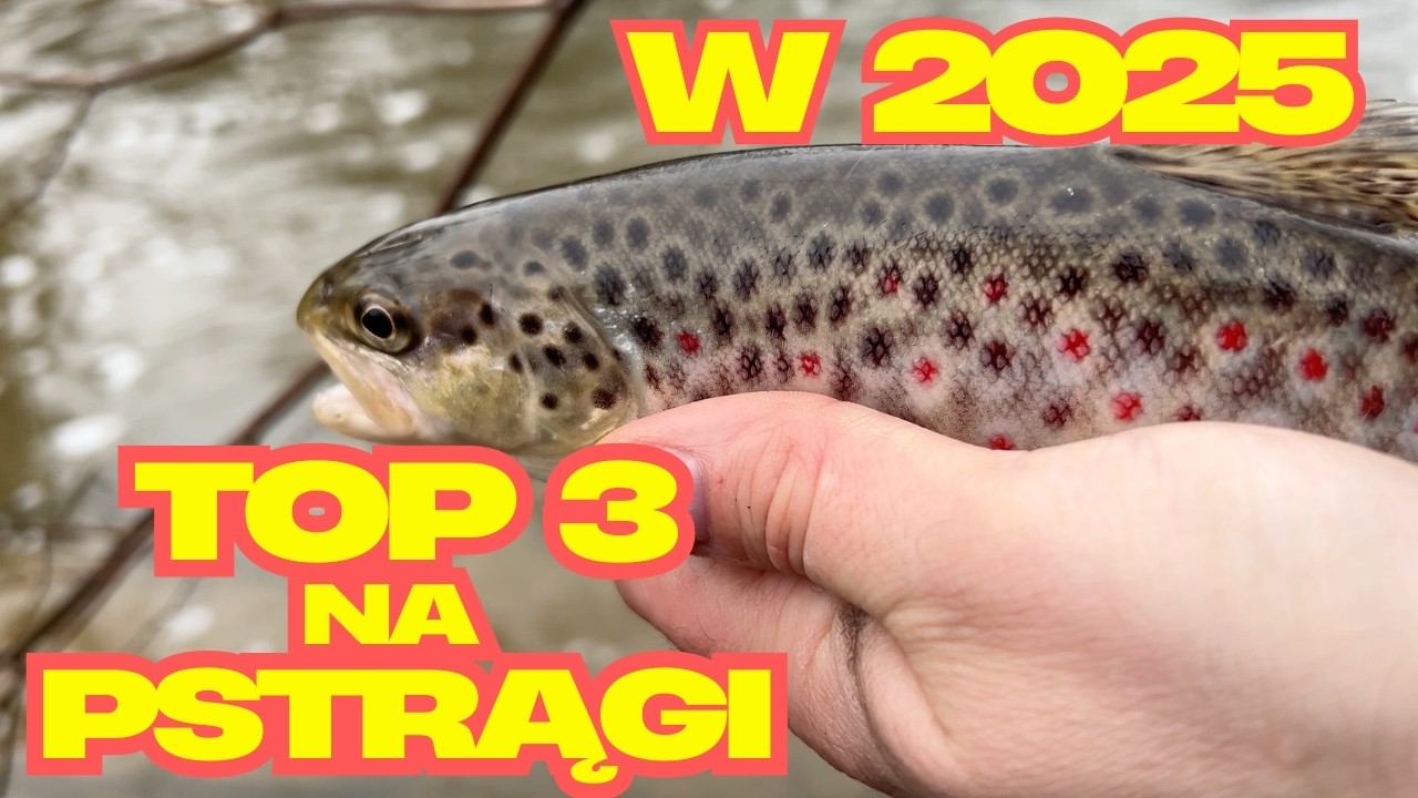 Top 3 przynęty na pstrągi w 2025 roku. Otwieramy nowy sezon