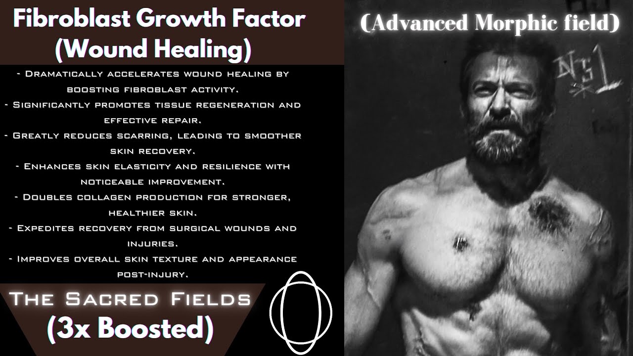 Fibroblast Growth Factor (FGF) Morphic Field (Wound Healing)