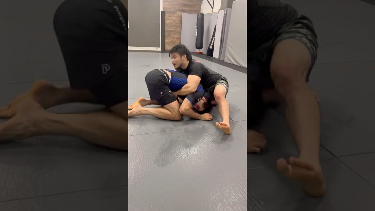 Kenta Iwamoto BJJ🇯🇵 Snap Down to Destructive D&rsquo;Arce Choke |#bjjshorts #bjj #nogi #jiujitsu #mma