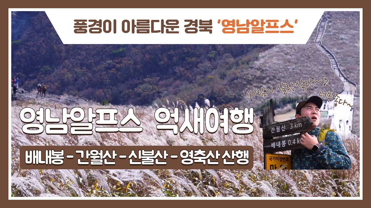 영남알프스 가을 억새여행 / SRT타고 수도권-울산 당일치기 / SONY A7M4 / 4k영상