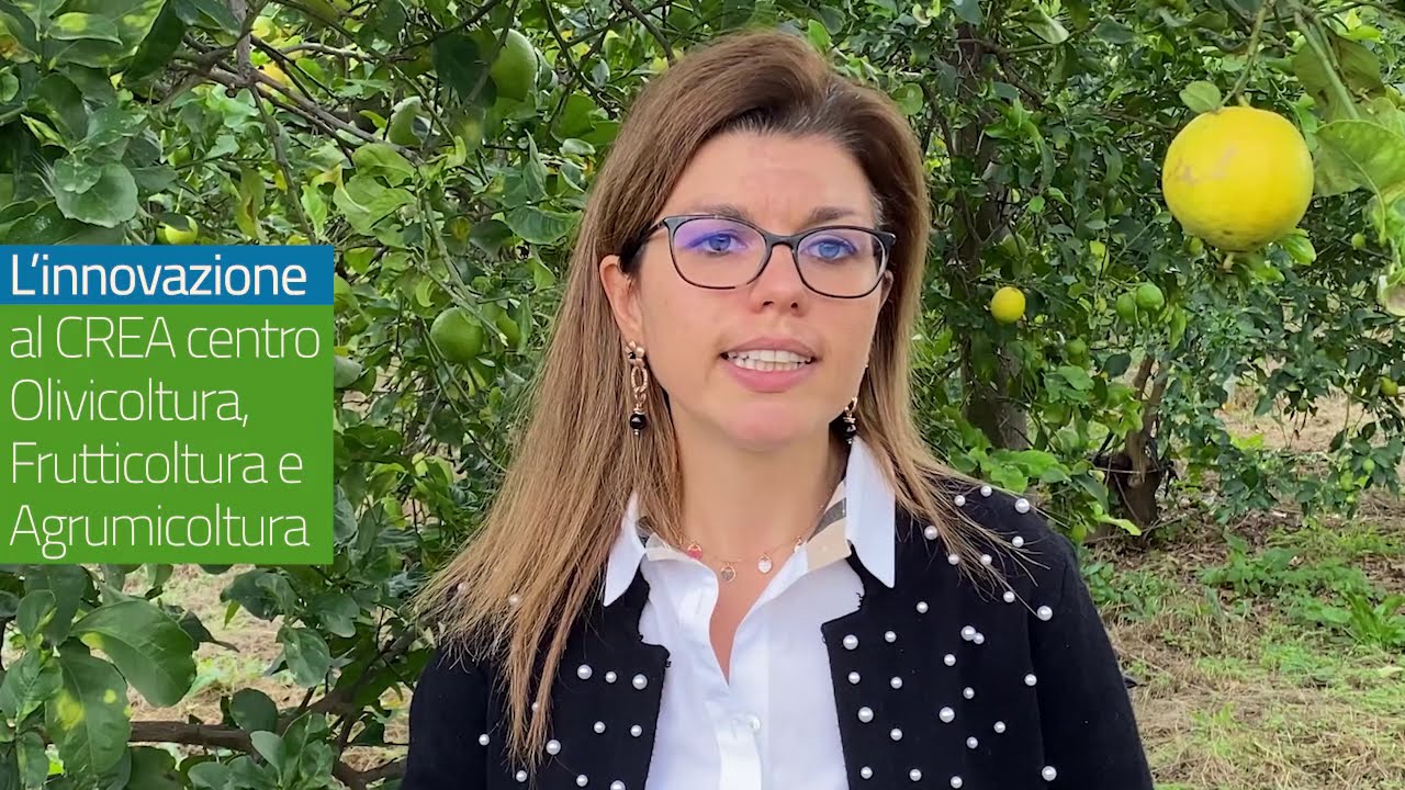 #CREABREAK per #innovazione2020: in #OlivicolturaFrutticolturaAgrumicoltura il Limone dell'Etna