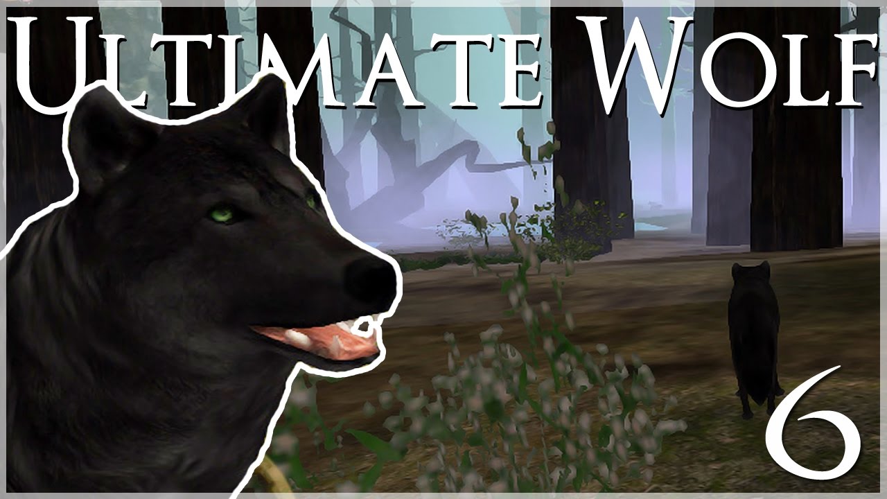 The Rival Wolf Pack of Broken Stone • Ultimate Wolf Simulator - Episode #6