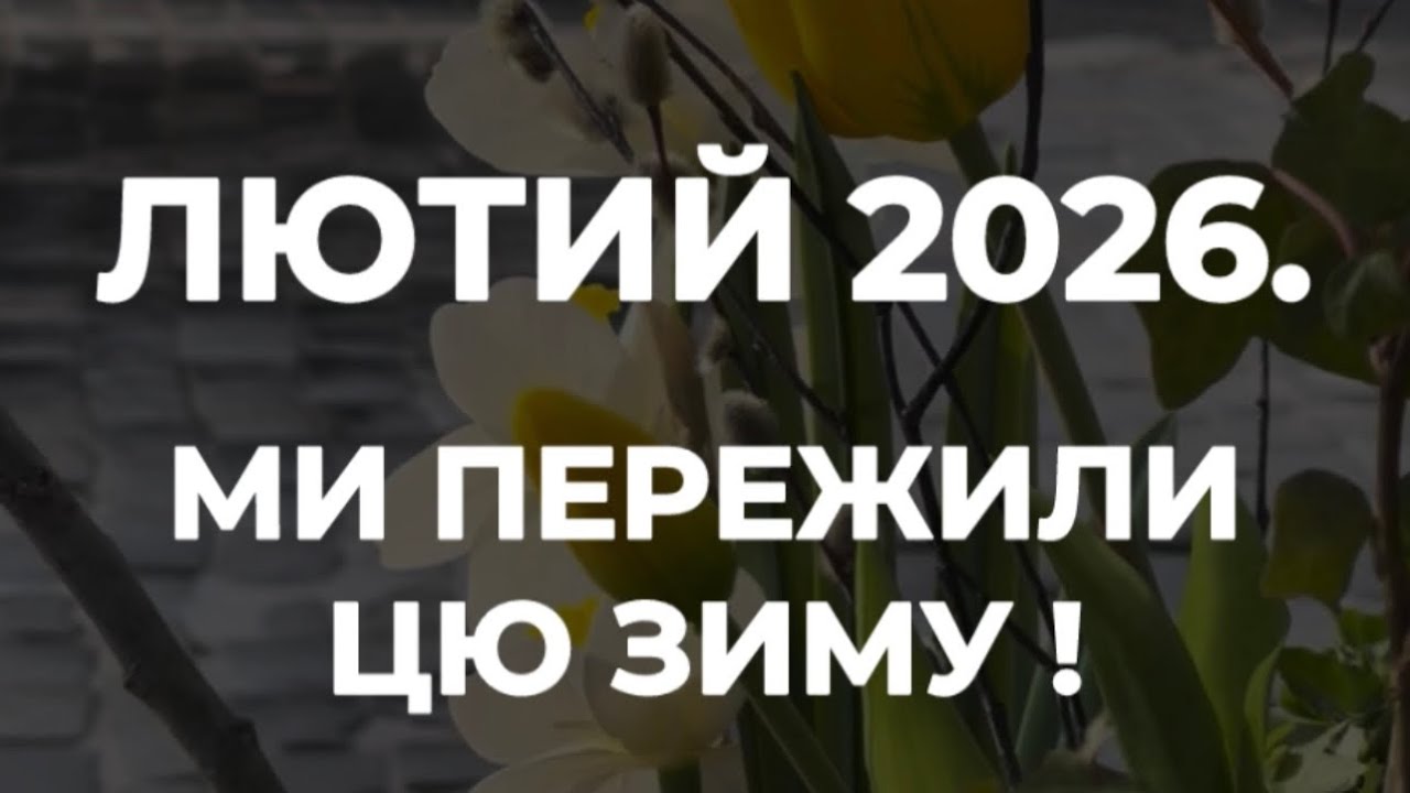 ЛЮТИЙ 2026 | МИ ПЕРЕЖИЛИ ЦЮ ЗИМУ | 304 ВРЯТОВАНИХ ТВАРИН