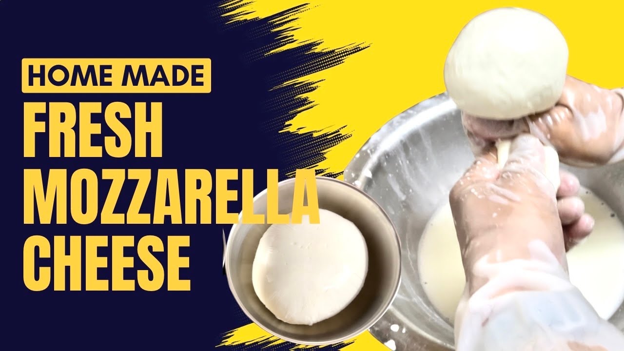 How to Make Fresh Mozzarella Cheese at Home
