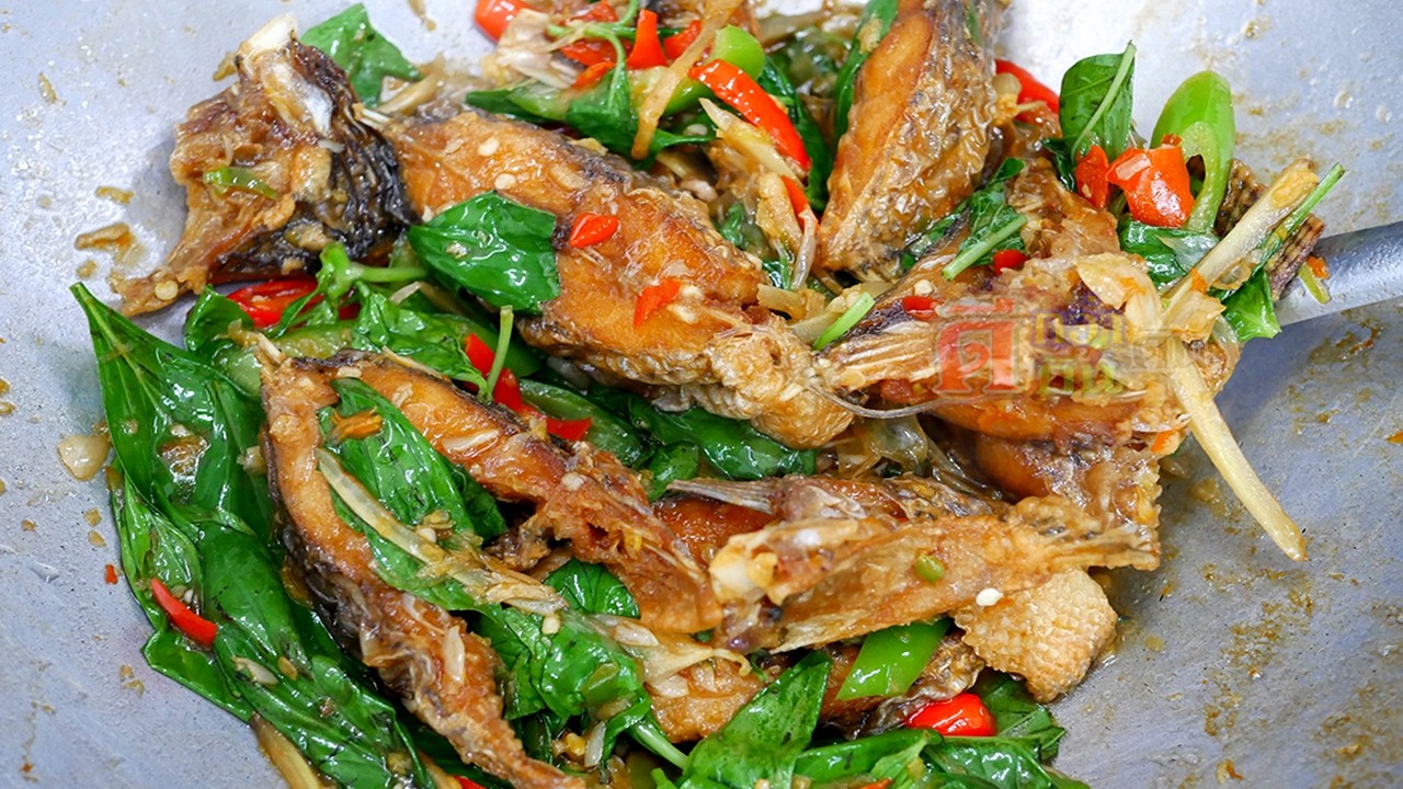 อร่อยไม่เบื่อ ปลานิลผัดใบโหระพา หอมกลิ่นสมุนไพร น้ำซอสเข้มข้นซึมเข้าเนื้อ ชิ้นปลากรอบนอกนุ่มใน ลงตัว