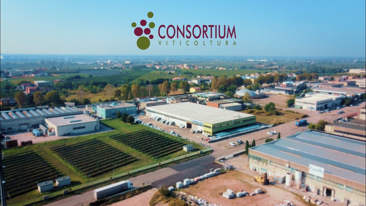 Consortium Viticoltura