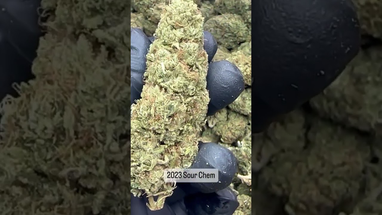 Elli-Hou Farms 2023 Sour Chem