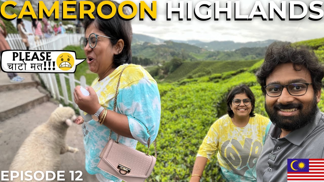 CAMEROON HIGHLANDS FULL DAY TOUR from PENANG | Cititel Express Ipoh | Indian in Malaysia - Pt 12