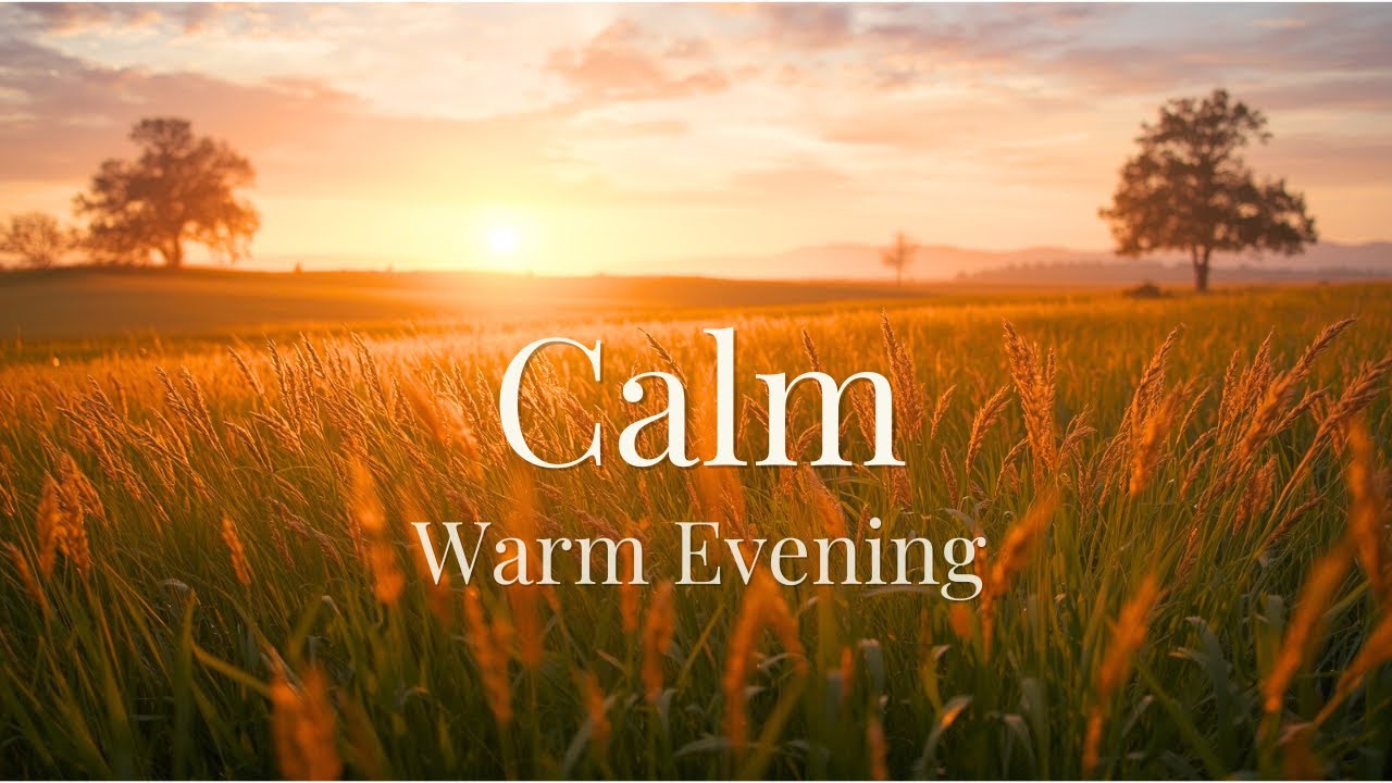 Lofi BGM for Calm｜リラックス・心を整える｜夕陽に染まる草原｜Sunlit Meadow Lo-Fi