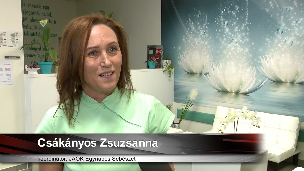 Egynapos seb&eacute;szet