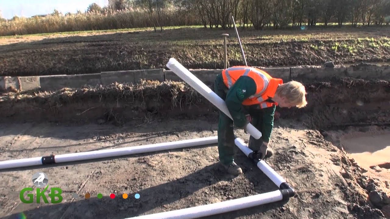 vervanging bomen Schroeder Kolklaan Albrandswaard
