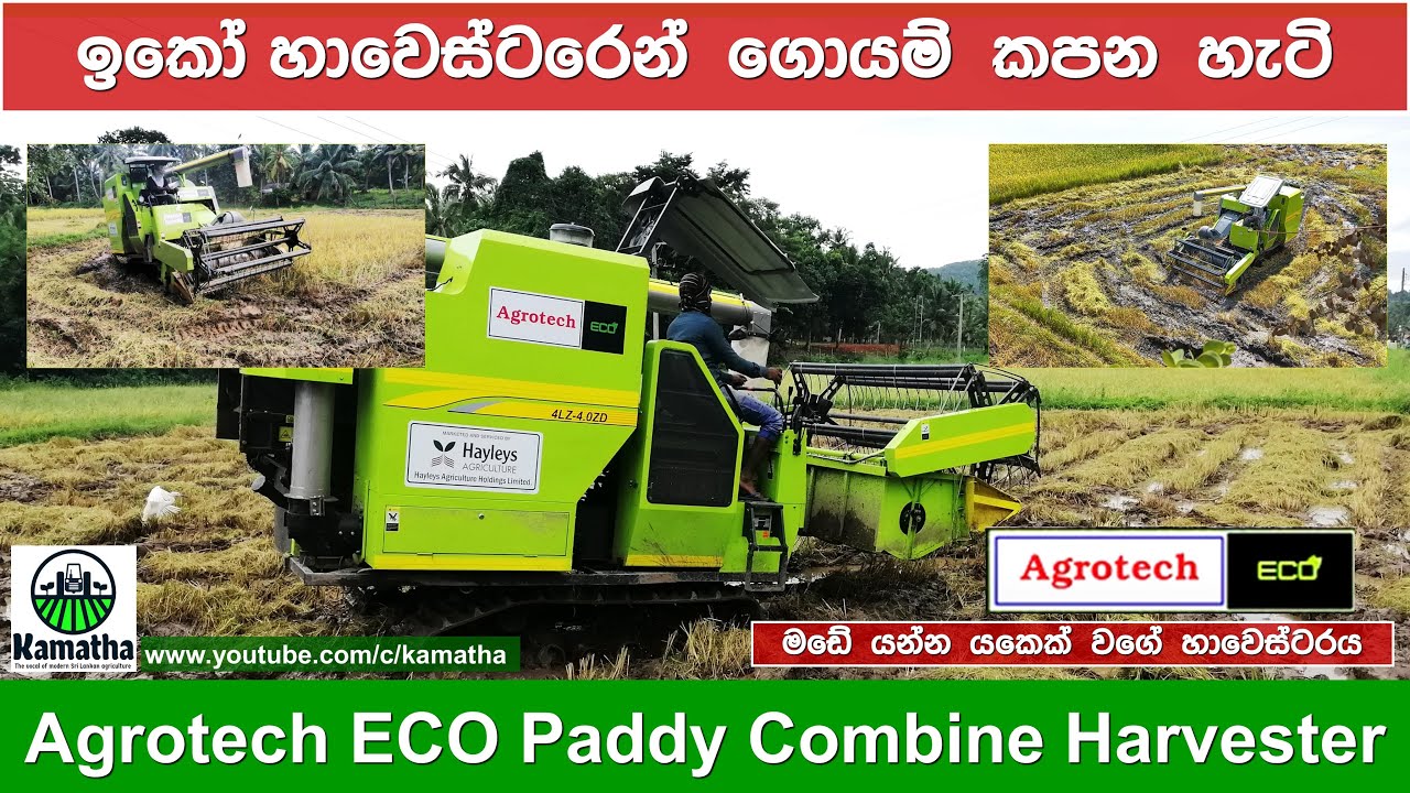 Paddy Harvesting | Agrotech ECO Harvester | ගොයම් කපනවා දැකලා නැති අය බලන්න වටින වීඩියෝවක් | Kamatha