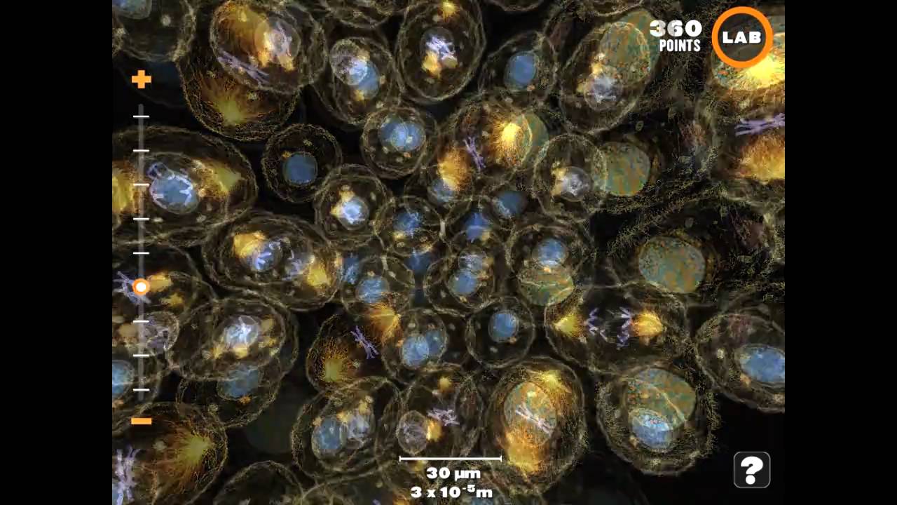 Powers of Minus Ten Biology iPad App