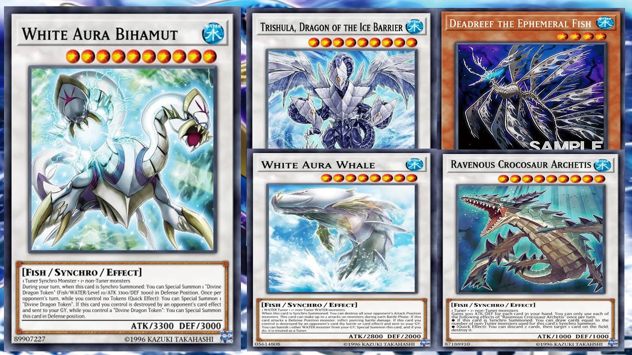 Deadreef the Ephemeral Fish Fury of Kairyu-Shin Deck White Aura Bihamut  海竜神の激昂