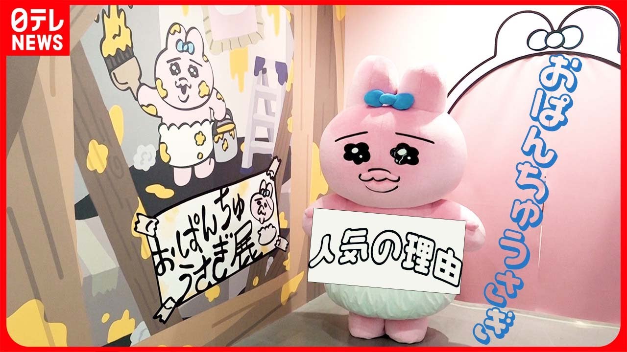 【おぱんちゅうさぎ】若い世代が夢中になる人気の理由は「応援したくなっちゃう」【What is the reason for Opanchu Rabbit's popularity?】