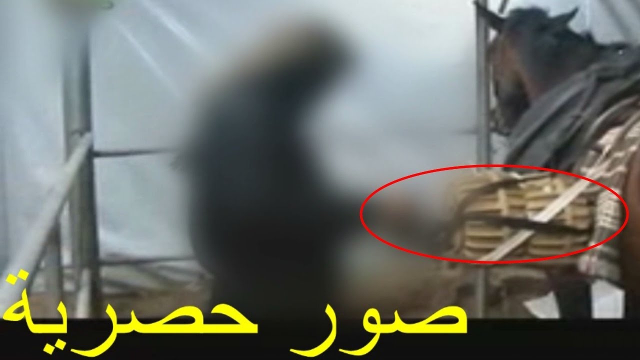 مجزرة  حماس في سلفيين غزة  داخل المسجد