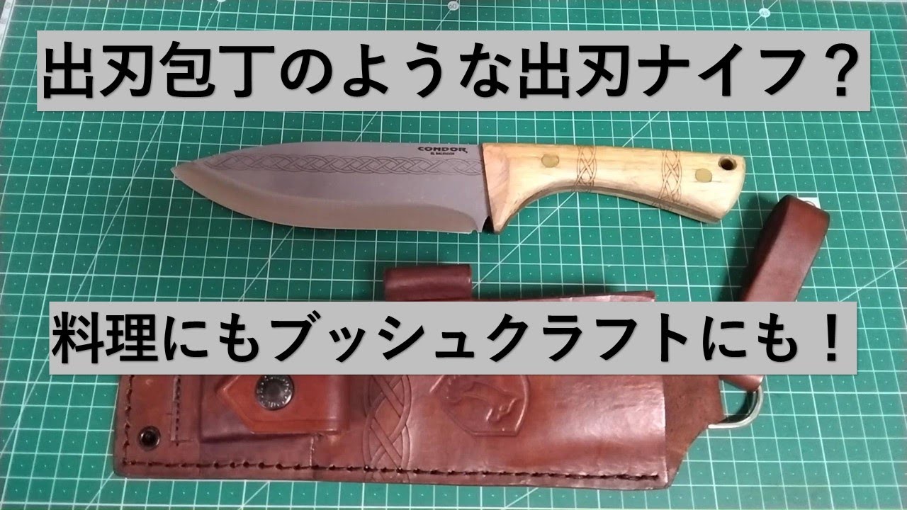 コンドル ピクタス