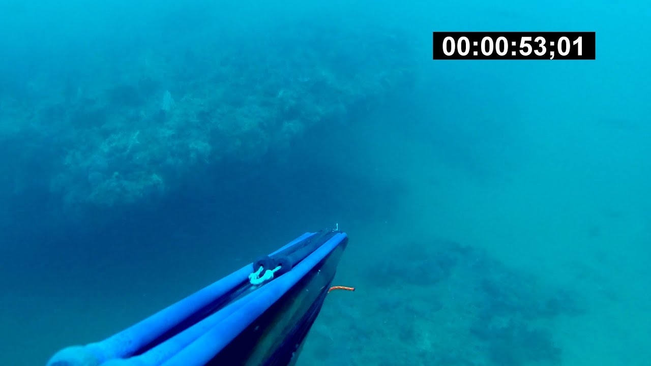 mero de 30 kg y urta a - 40 metros del pescador Fran Narvaez