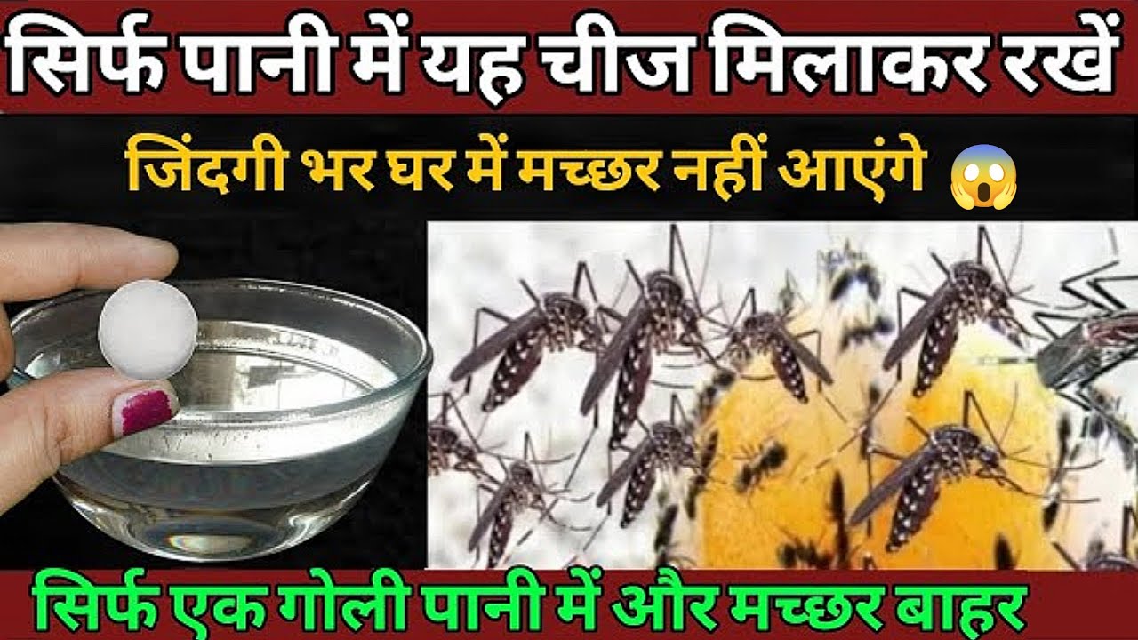 ना कॉइल ❌ना स्प्रे ❌मच्छर भगाने का आसान तरीका 🔥Mosquito Repellent atHome