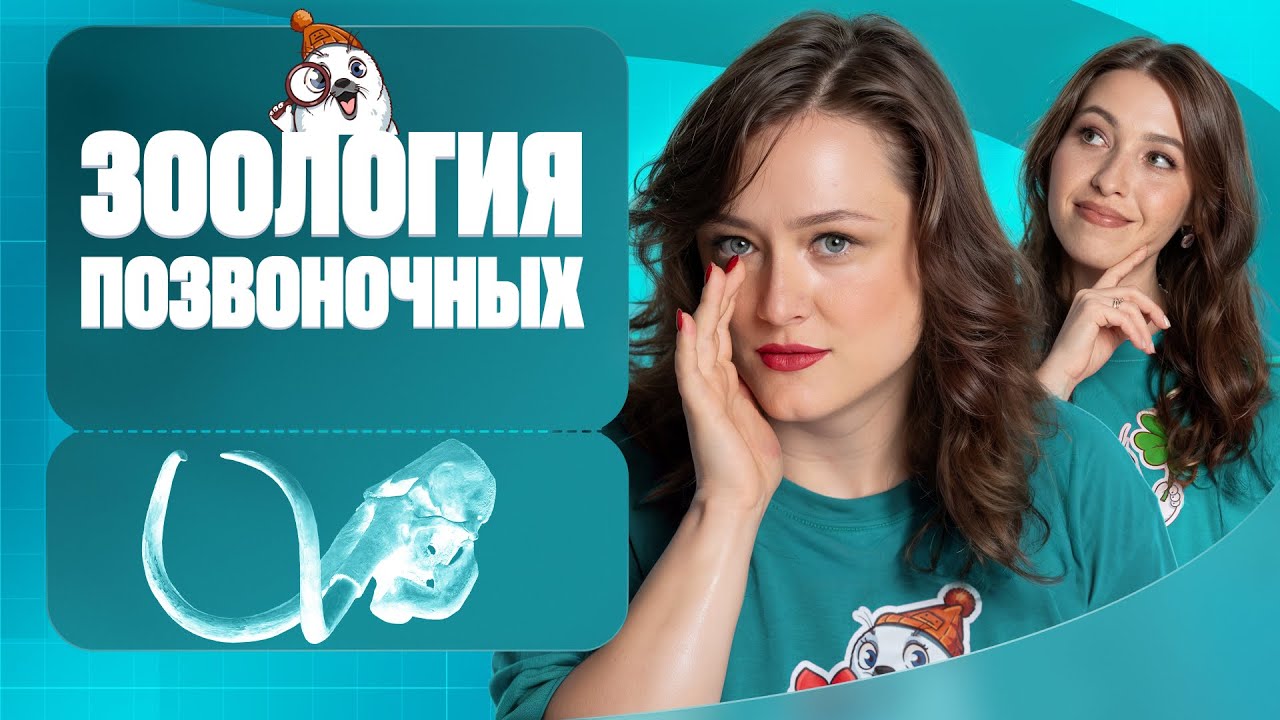 9. Зоология позвоночных | Полугодовик | ЕГЭ-2026 по биологии