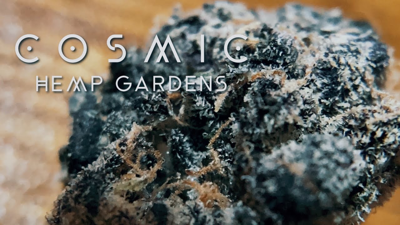Trying 3 NEW THCa Strains from Cosmic Hemp Gardens! 🔥