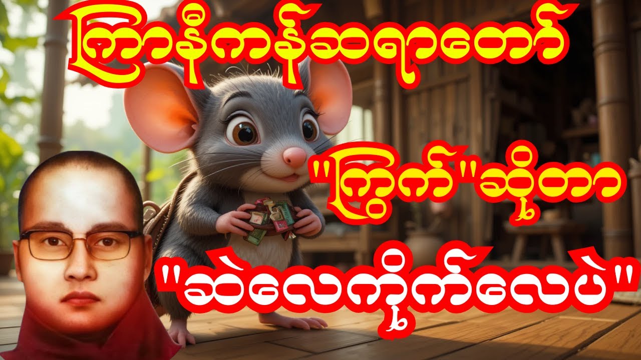 ကြွက်ဆိုတာ ဆဲလေကိုက်လေ 😂 | ကြာနီကန်ဆရာတော်ကြီး ဟာသနှောသောတရားတော်#တရားတော် #တရားတော်များ #တရား