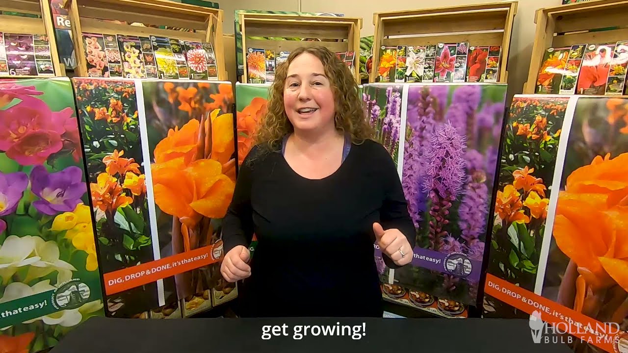 When Is The Best Time To Plant Spring Flower Bulbs?