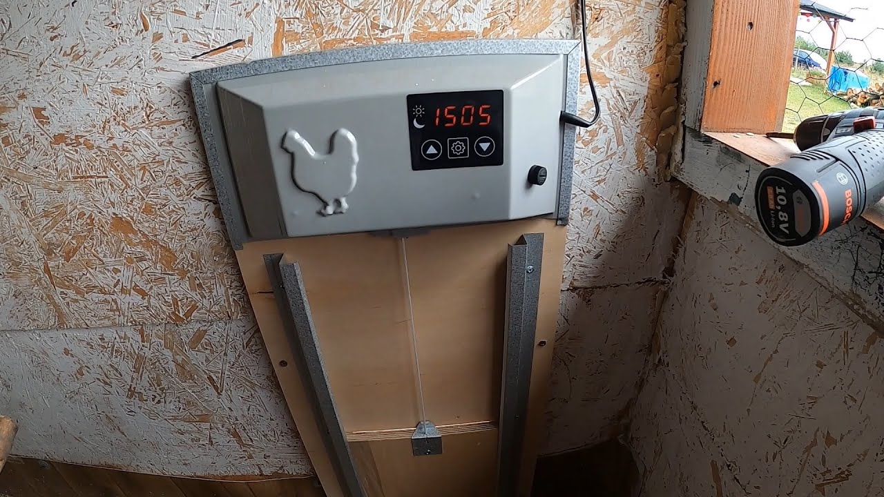 Montaż automatycznych drzwi do kurnika oraz produkcja własnej paszy