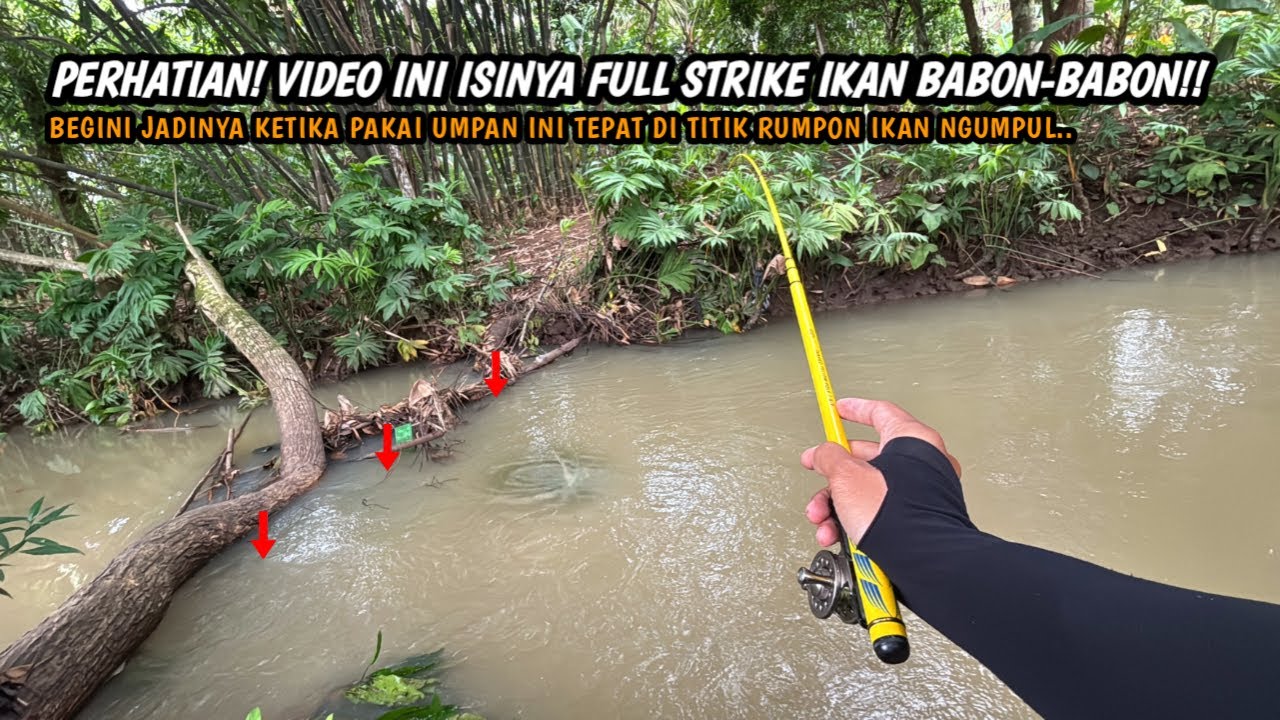 BUKTIKAN SENDIRI INI UMPAN ANDALAN BUAT AIR KERUH!! Mancing wader teknik kumbul umpan magot