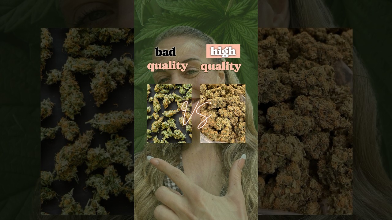 How to Spot Quality 🍃!