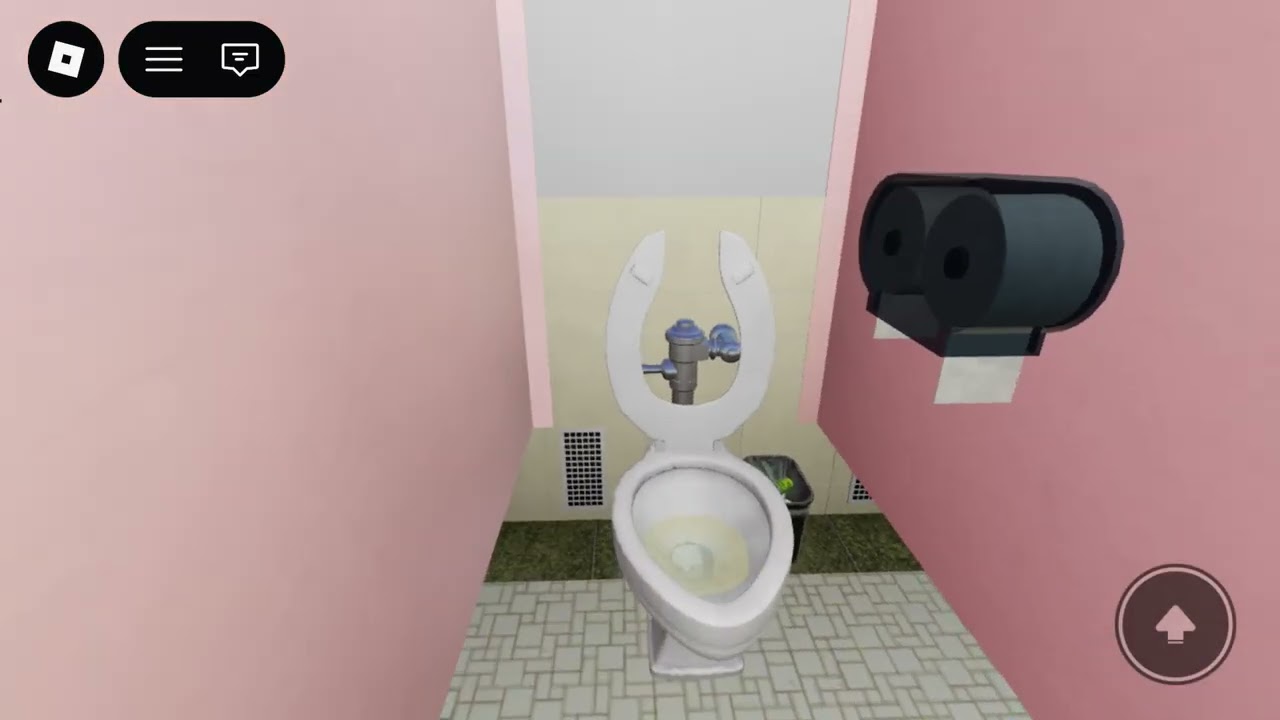 Hamiliton Ridge High School boy’s and girl’s restrooms! 