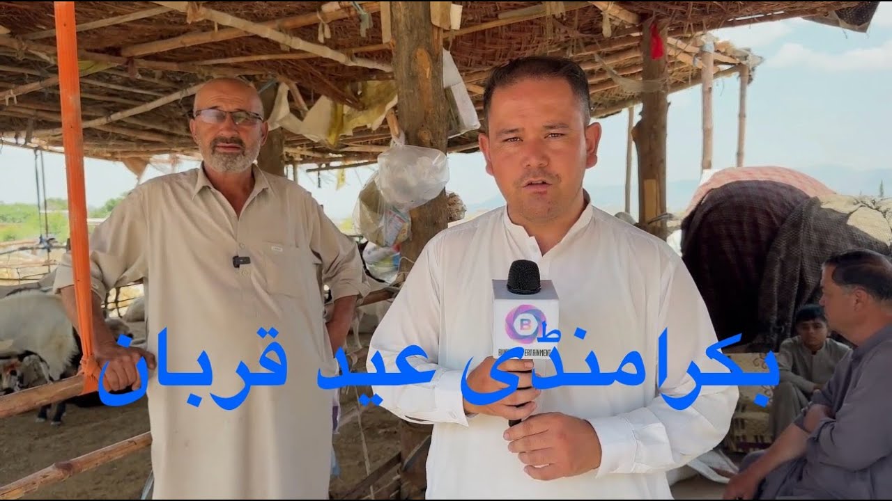 bakra mandi eid qurban 2024 video by  @BUNYADEntertainment