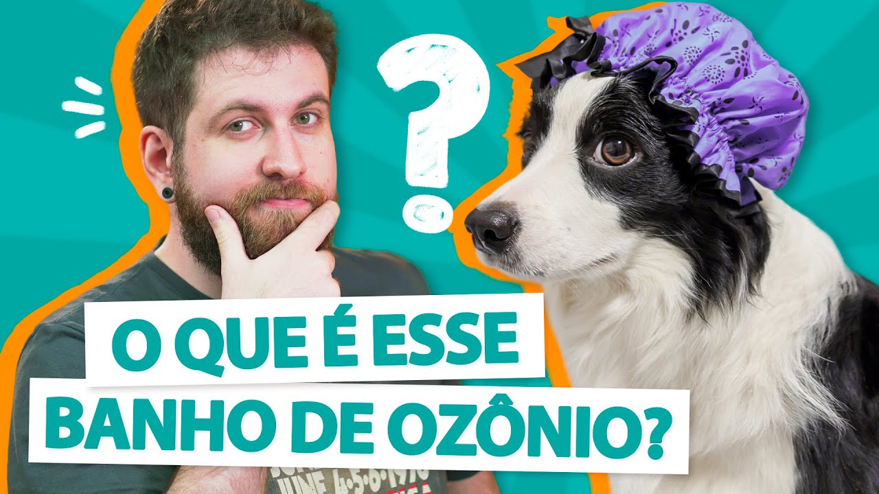 BANHO DE OZÔNIO EM PET? 🚿 🐕🛁